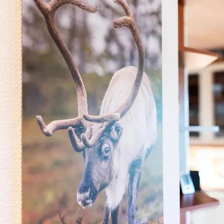 Villa Kaarina1, Luxury Near Santa Claus *